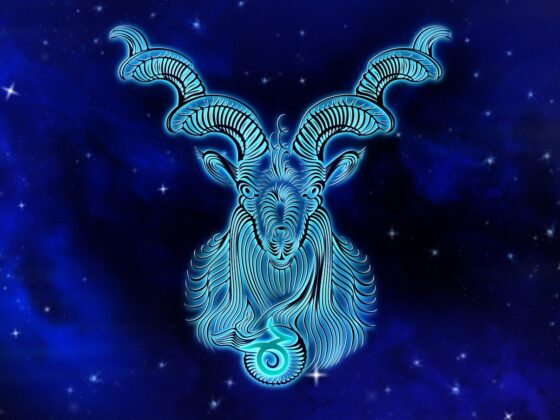 capricorno segno zodiacale caratteristiche