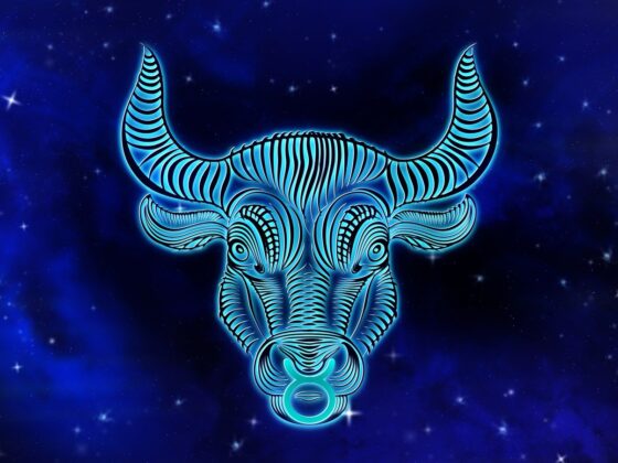 toro segno zodiacale caratteristiche