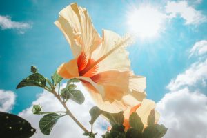 meteo misticismo oroscopo